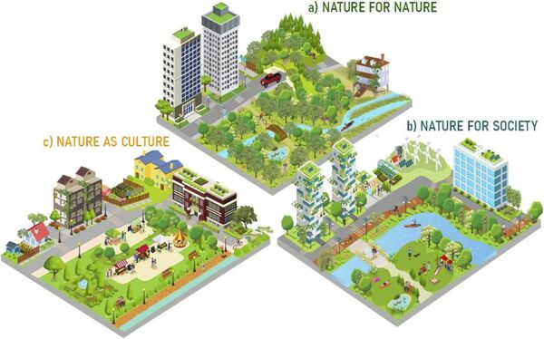 Visuele weergaven van stadsnatuurgebieden