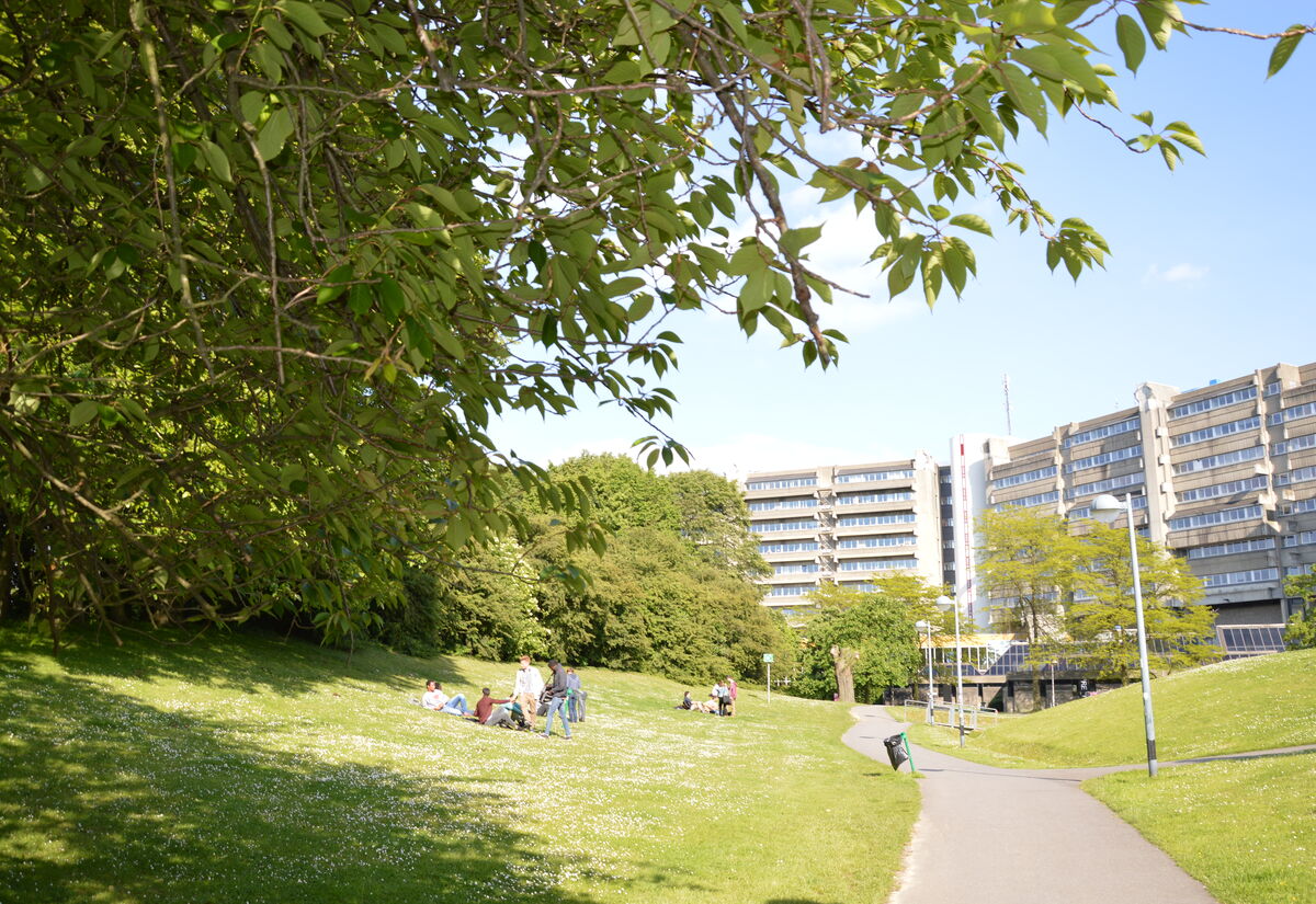 Campus de la Plaine - ULB-VUB
